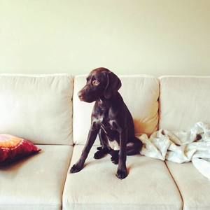 Meet your Posher, Meghan